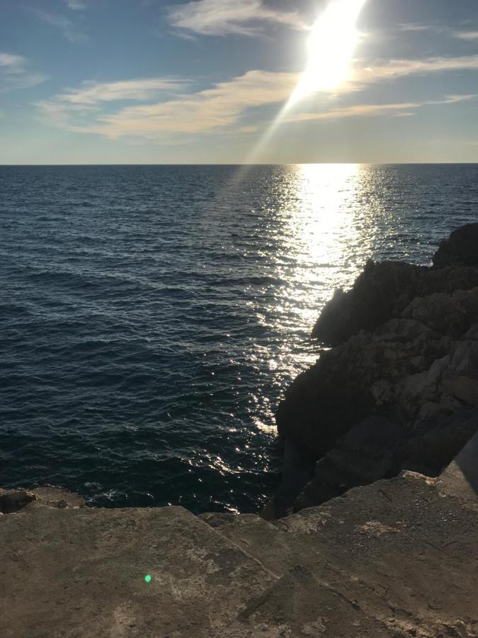 Guesthouse Oaza Emi Dobra Voda Exteriör bild